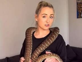 hottest porn star|OUCH: Porn stars pet python bites partners penis